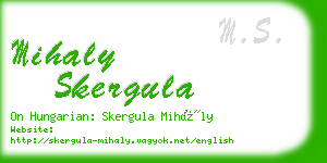 mihaly skergula business card